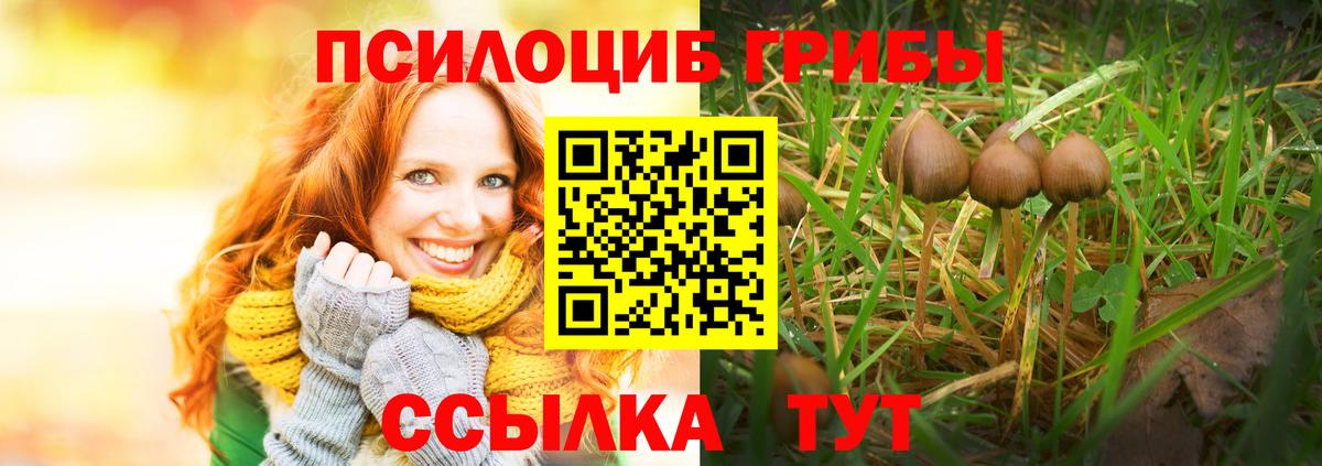 Трёхгорный  Галлюциногенные грибы GOLDEN TEACHER  Вход с VPN 